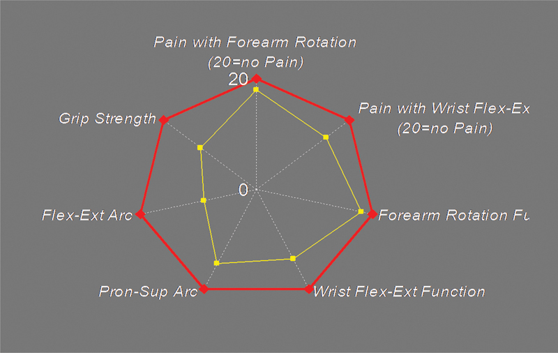 Fig. 21