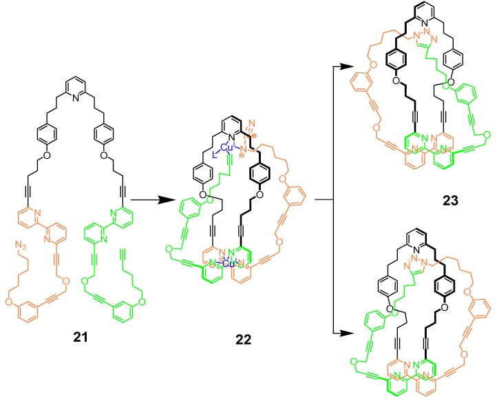 Scheme 5