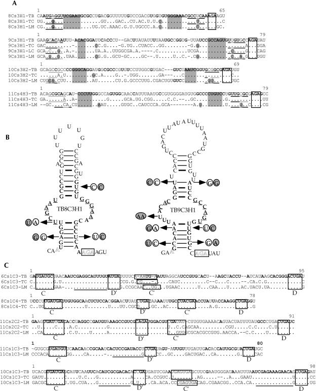 FIGURE 1.