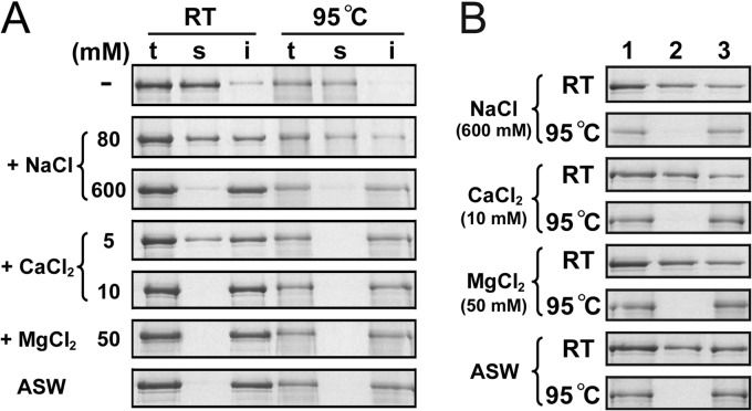 FIG 2