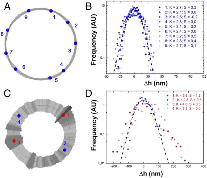 Fig. 3.