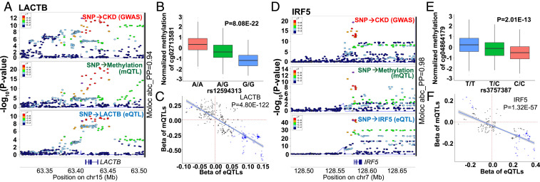 Fig. 6.