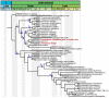 Figure 21