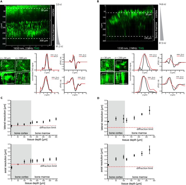 Figure 3