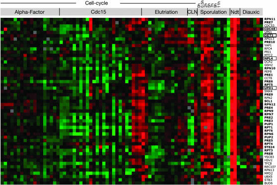 Figure 3.—