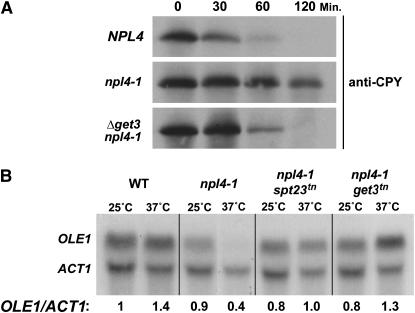 Figure 2.—