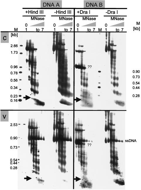 FIG. 7.