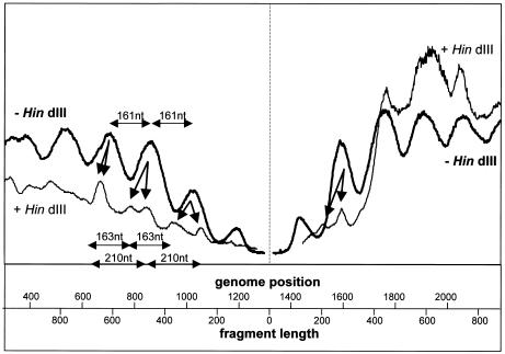 FIG. 8.