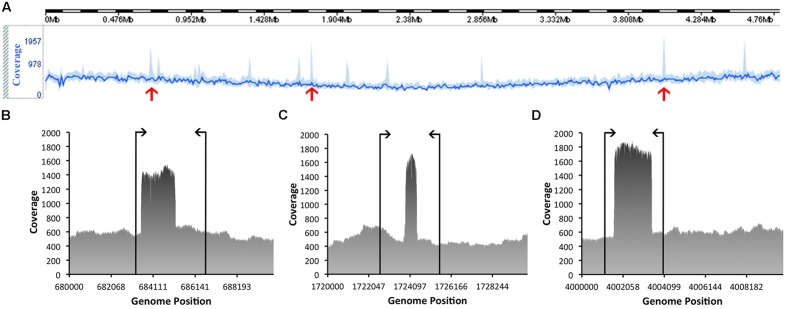 FIGURE 4