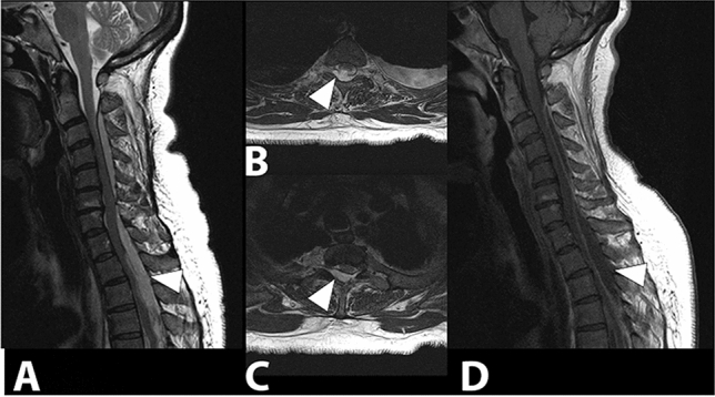 Fig. 9