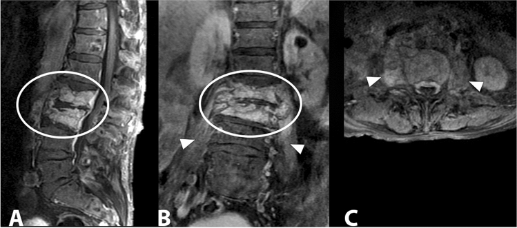 Fig. 8