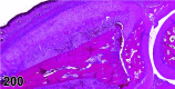 Figure 200.
