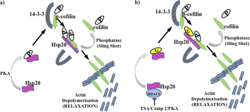 FIGURE 11.