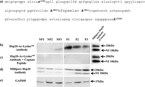 FIGURE 9.