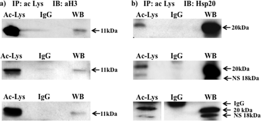 FIGURE 7.