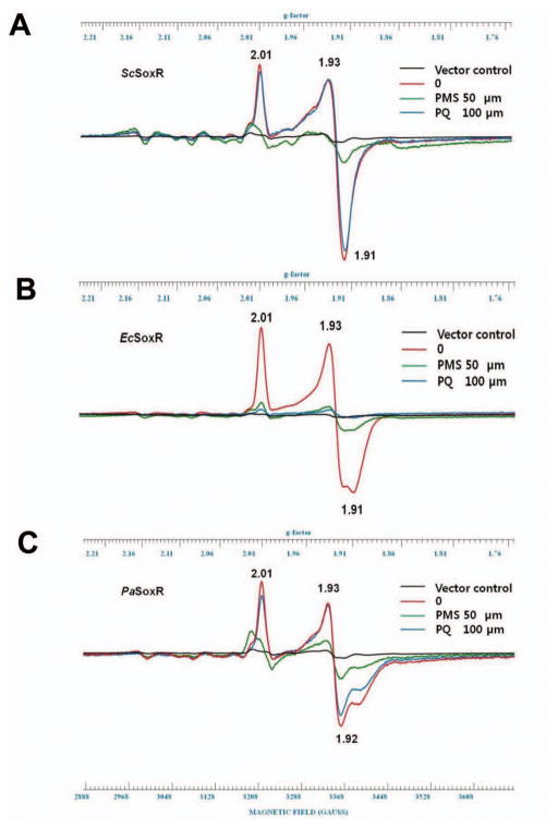 Fig. 7