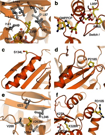 Fig. 3