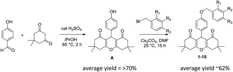 Scheme 1