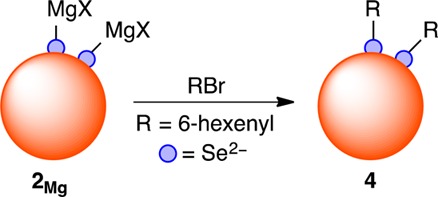 Scheme 2