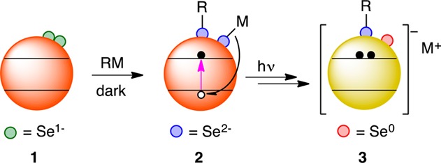 Scheme 1