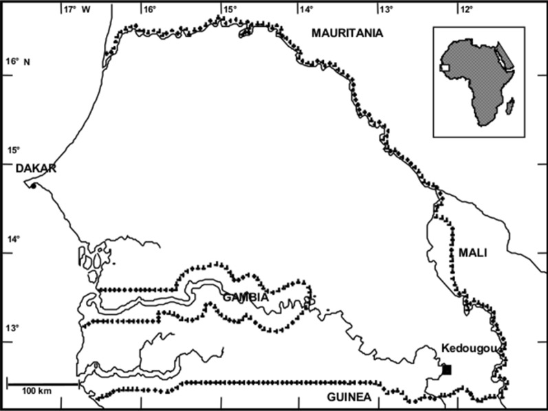 Fig. 1