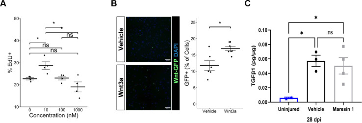 Figure 4—figure supplement 1.