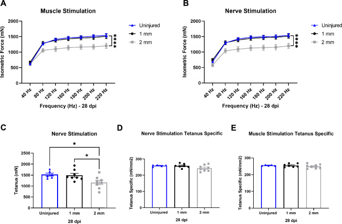 Figure 1—figure supplement 1.