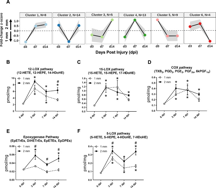 Figure 2—figure supplement 1.