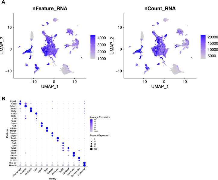 Figure 5—figure supplement 1.