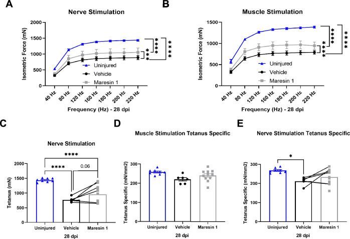 Figure 3—figure supplement 3.