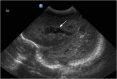 Figure 5