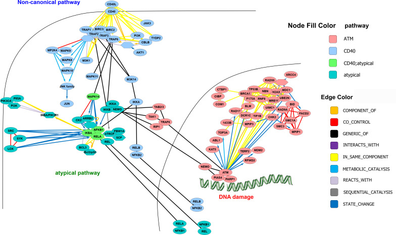 Figure 4