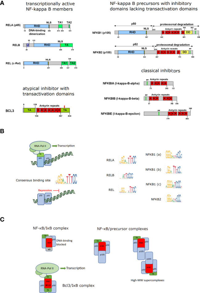 Figure 1