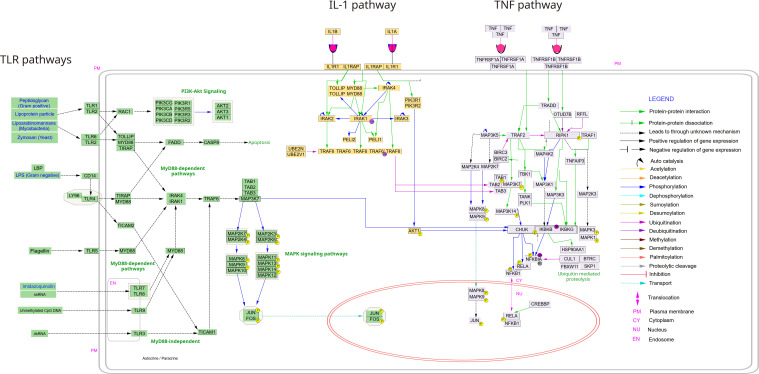 Figure 3