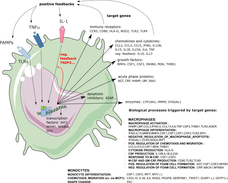 Figure 6