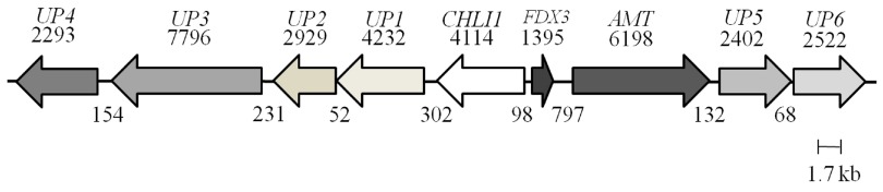 Figure 5. 