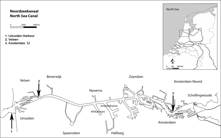 Fig. 1