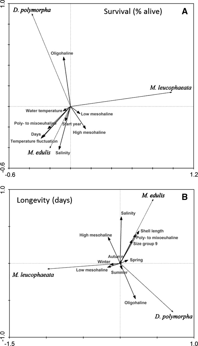 Fig. 5