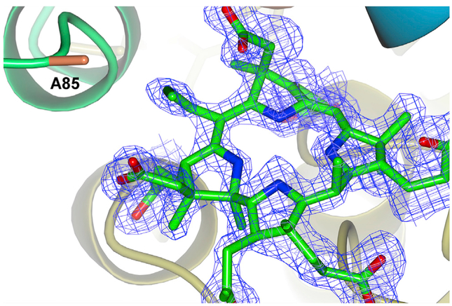 Figure 3.