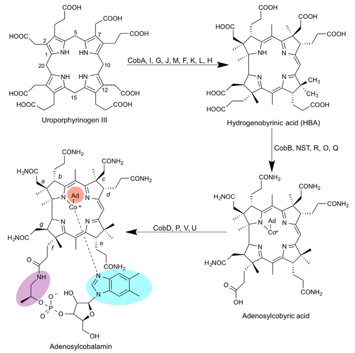 Figure 1.