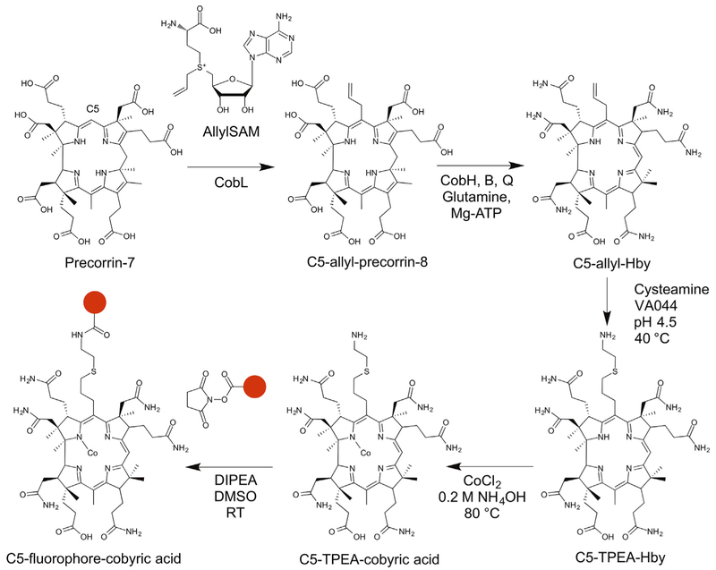 Figure 2.