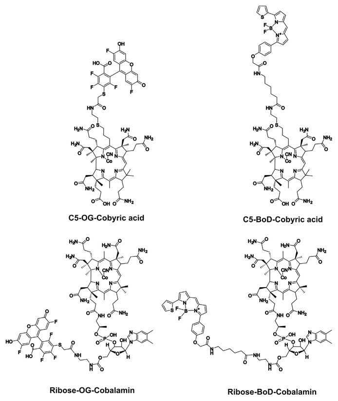 Figure 4.