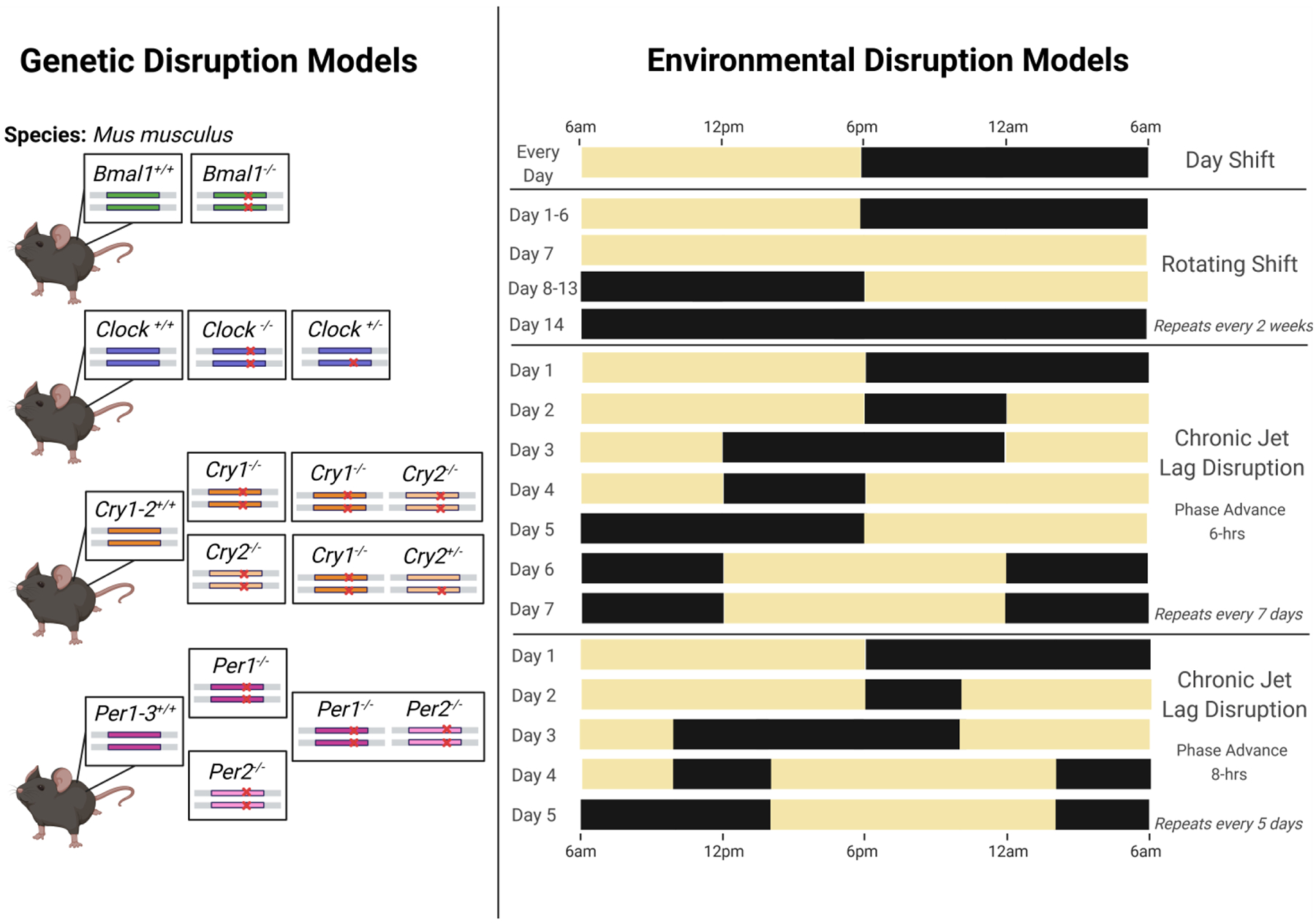 Figure 5: