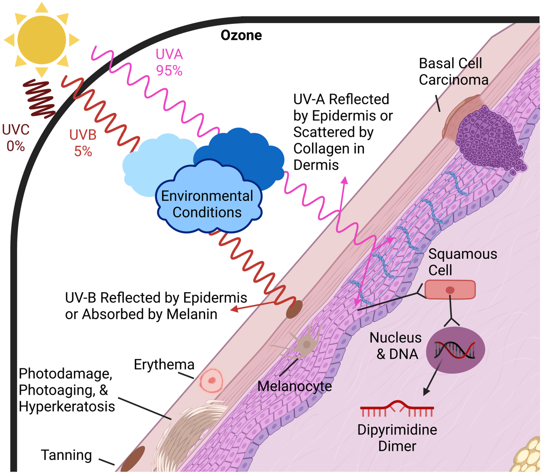 Figure 3: