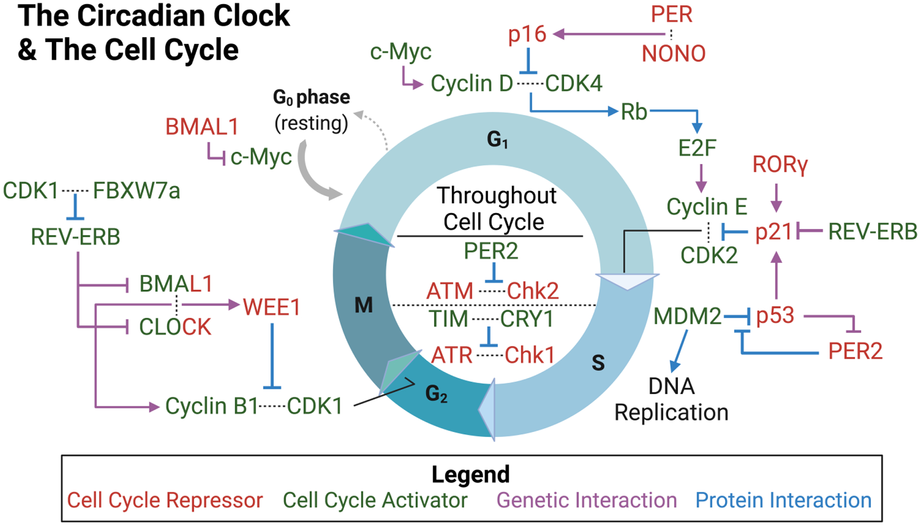 Figure 2: