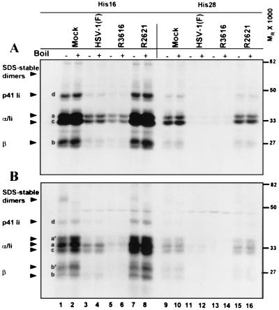 FIG. 7.