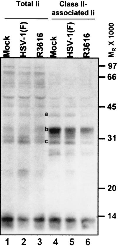 FIG. 10.