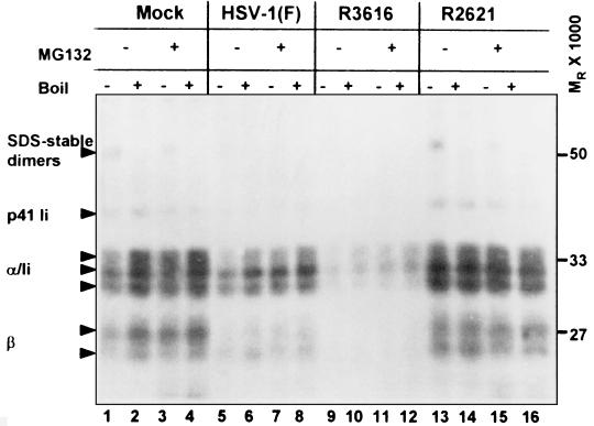 FIG. 8.