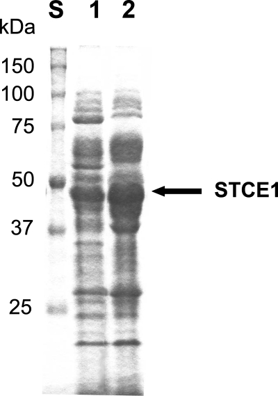 FIG. 6.