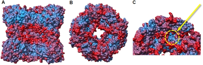 Figure 7